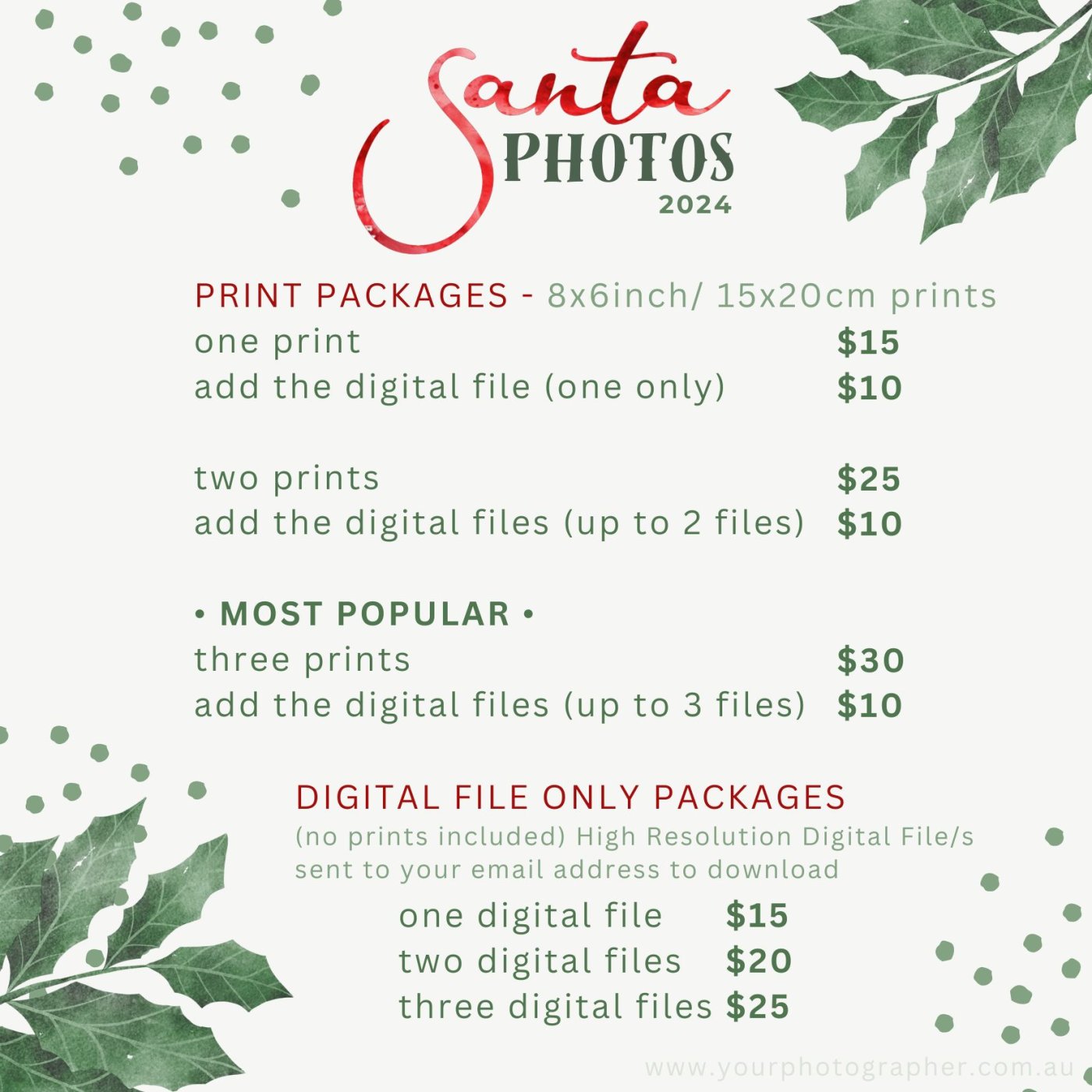 2024 Santa Photo Prices.jpg